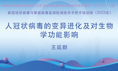 人冠状病毒的变异进化及对生物学功能影响