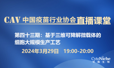 基于三维可降解微载体的细胞大规模生产工艺